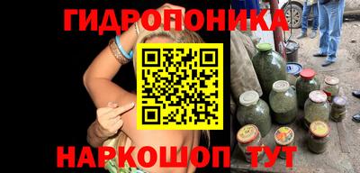 дживик Лесосибирск