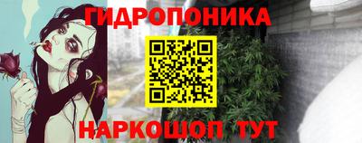 дживик Лесосибирск