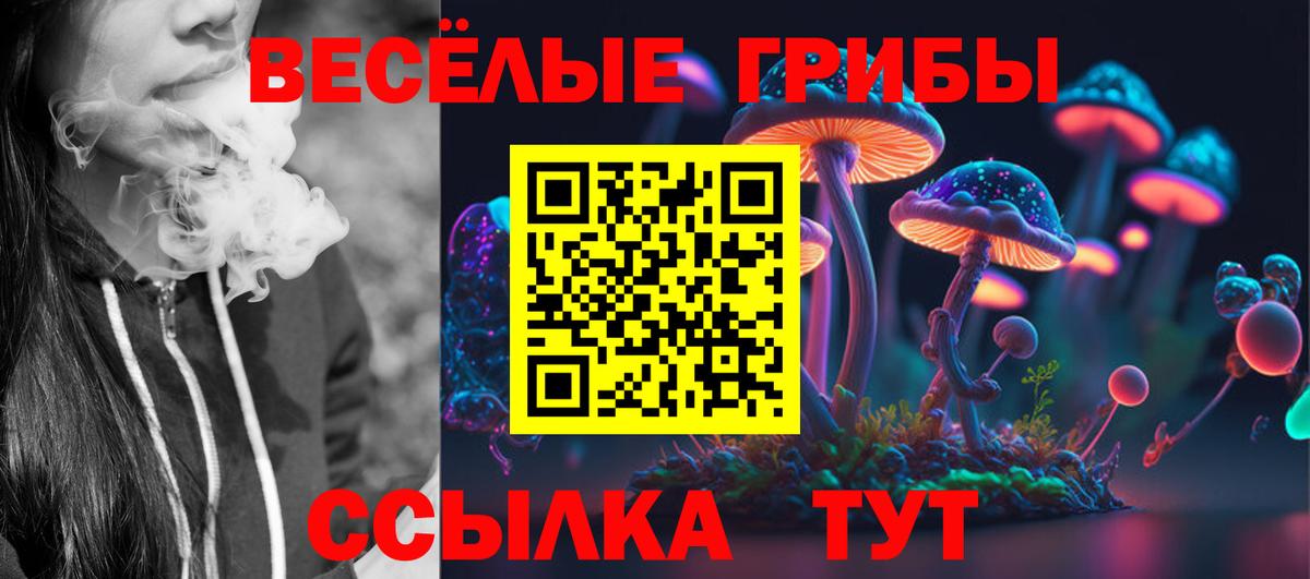 Галлюциногенные грибы Magic Shrooms  Вход с VPN  Гурьевск  Галлюциногенные грибы Psilocybine cubensis 